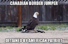 freedom lunch.jpg