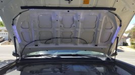 20160619_115236.jpg