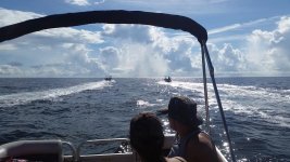 20160703_094240.jpg