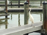 IMG_4549.jpg