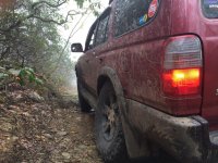 IMG_0284.jpg