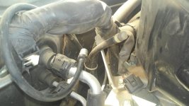 20160805_185954.jpg