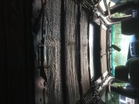 IMG_5317.jpg IMG_5317.jpg