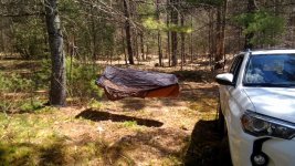 IMG_20160508_143156.jpg