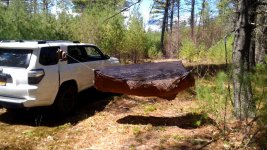 IMG_20160508_143305.jpg