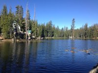 IMG_1055.jpg