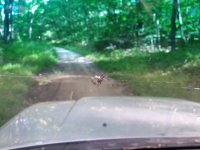 IMG_20160806_175433.jpg IMG_20160806_175433.jpg