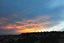 DSC_5295.jpg
