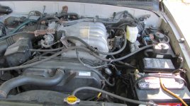 IMG_8449.jpg