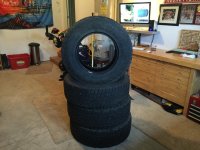 IMG_2842.jpg