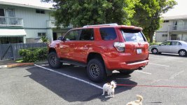 20160622_155529.jpg