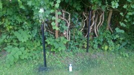 IMG_20160819_185742.jpg