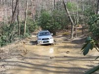 IMG_0106.jpg