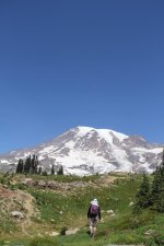 IMG_5446.jpg