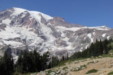 IMG_5532.jpg