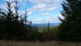 20151026_150332[1].jpg