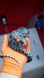 20160511_153429.jpg