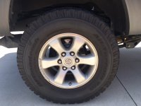 WT Rear P.jpg WT Rear P.jpg