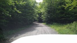 IMG_20160711_141905.jpg