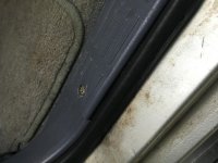 IMG_1229.jpg