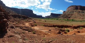 20160508_102051.jpg