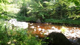 IMG_20160713_103855.jpg