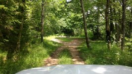 IMG_20160713_135240.jpg