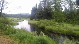 IMG_20160714_114049.jpg