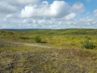 20160820_161453.jpg