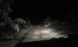 driveway.jpg
