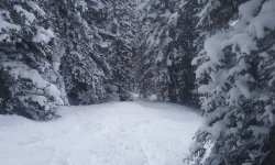 SNOW.jpg