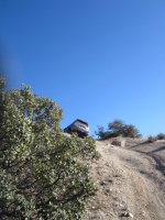 IMG_2447.jpg