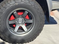 IMG_0491[1].jpg