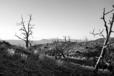 DSCF2011.jpg