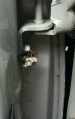 unwanted car passenger.jpg
