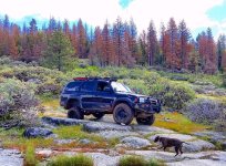 IMG_20160531_180413.jpg