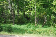 DSC_0022.jpg DSC_0022.jpg