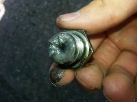 20160419_120306.jpg