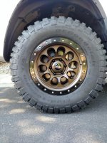 IMG_20160514_092450473.jpg