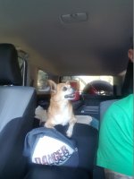 20160603_084351.jpg