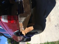 IMG_0552.jpg