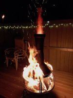 IMG_1542.jpg