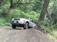IMG_1137.jpg