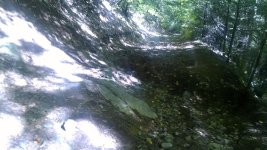 IMG_20161005_133133.jpg