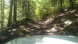 IMG_20161005_133336.jpg