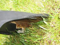 rust flakes - old bumper 014.jpg