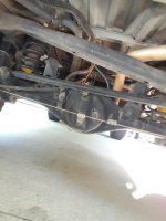 rear bottom.jpg