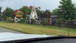 IMG_6943.jpg