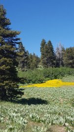 20160625_143027.jpg