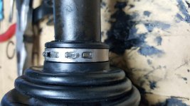 20160824_063646.jpg